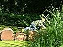 Resize of DSCF5890.JPG